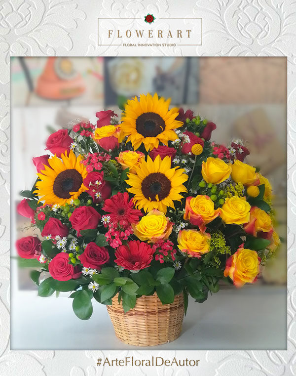 Girasoles-53