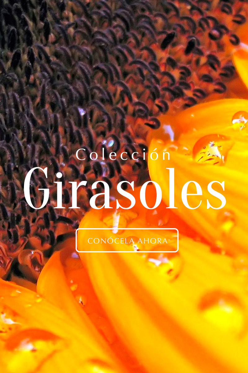 slider de arreglos de girasoles