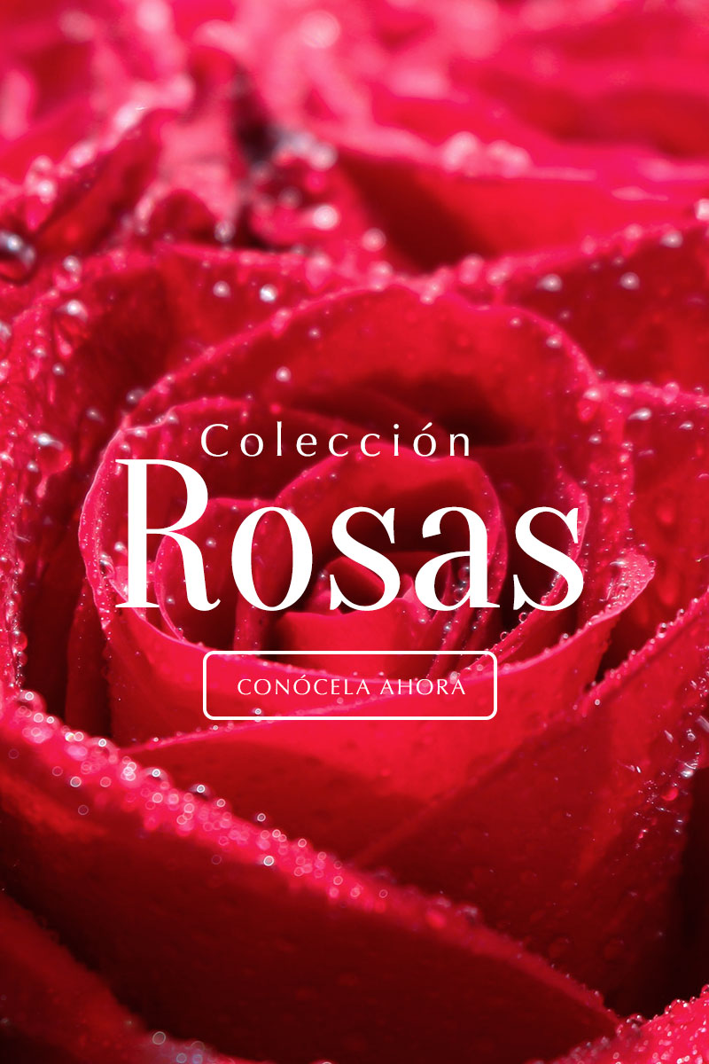 slider mobile parreglos de rosas