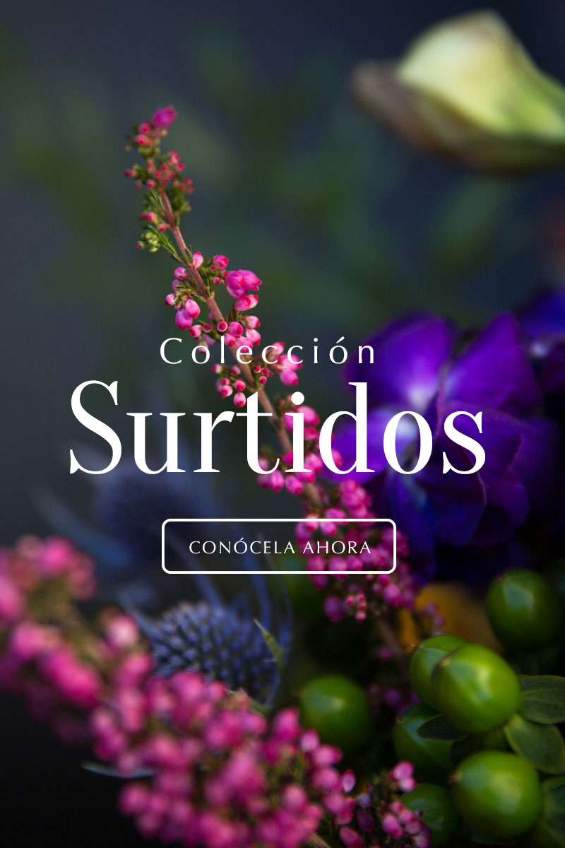 slider moviles arreglos surtidos